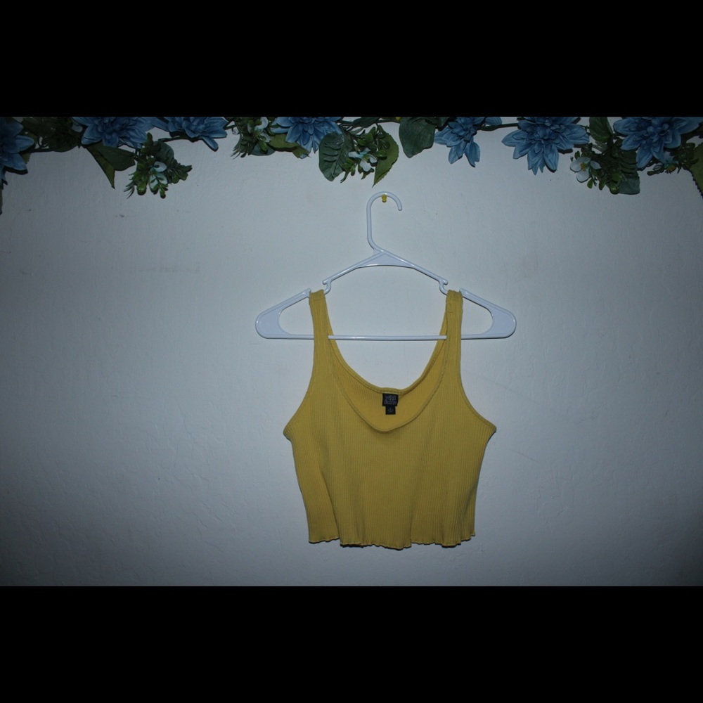 Wild Fable Crop Top